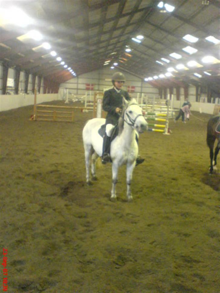 Anden særlig race Prop ;')  SOLGT :( - vem vem vider  det gøre jeg billede 5