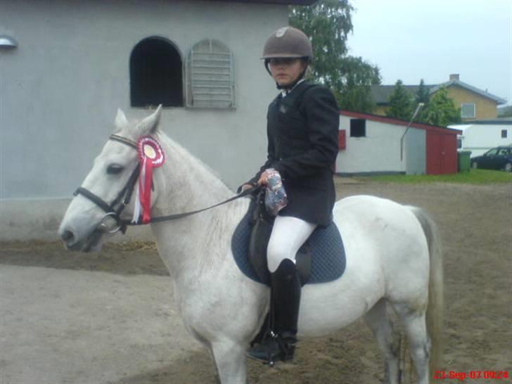 Anden særlig race Prop ;')  SOLGT :( - der er jeg billede 6