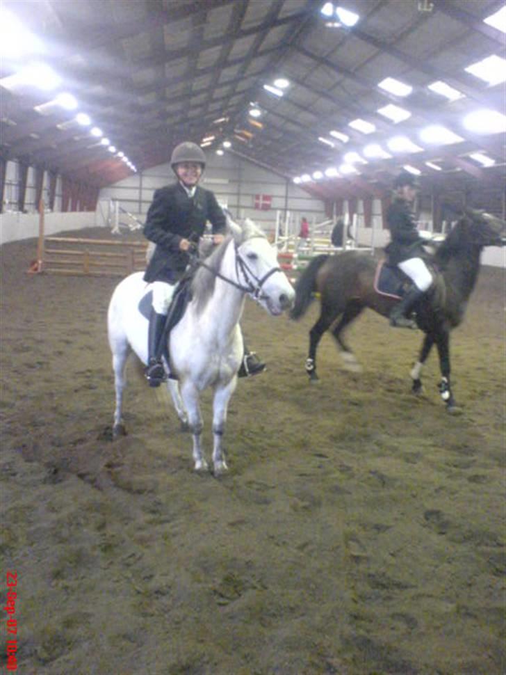 Anden særlig race Prop ;')  SOLGT :( - jjjjjjjjjjaaaaaaaaaaa min lb var vise gode eller vad billede 7