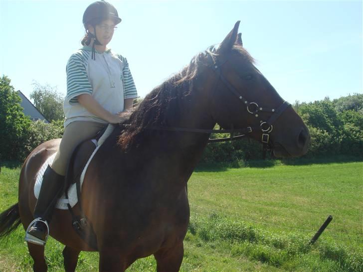 Anden særlig race Apollon/Polle(mor's)  - Velkommen til Polle´s profil :D Skriv en kommentar og smid en bedømmelse(; billede 1