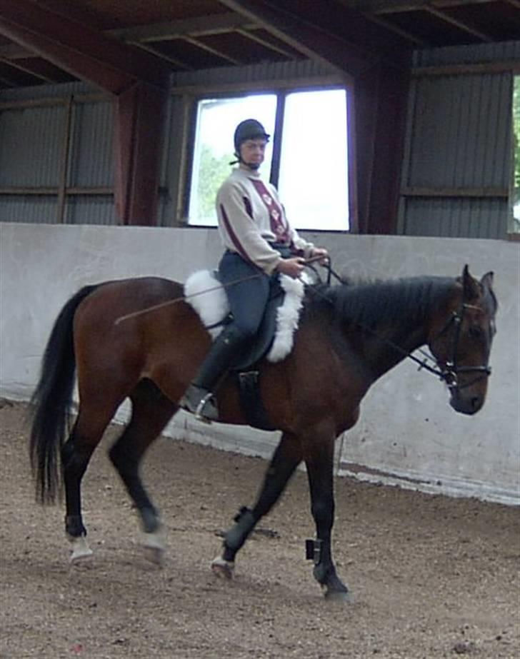 Anden særlig race Apollon/Polle(mor's)  - Næsten lig da vi havde fået ham d: billede 4