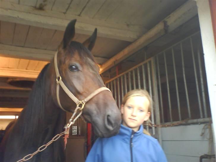 Traver Maximum Laser  billede 13