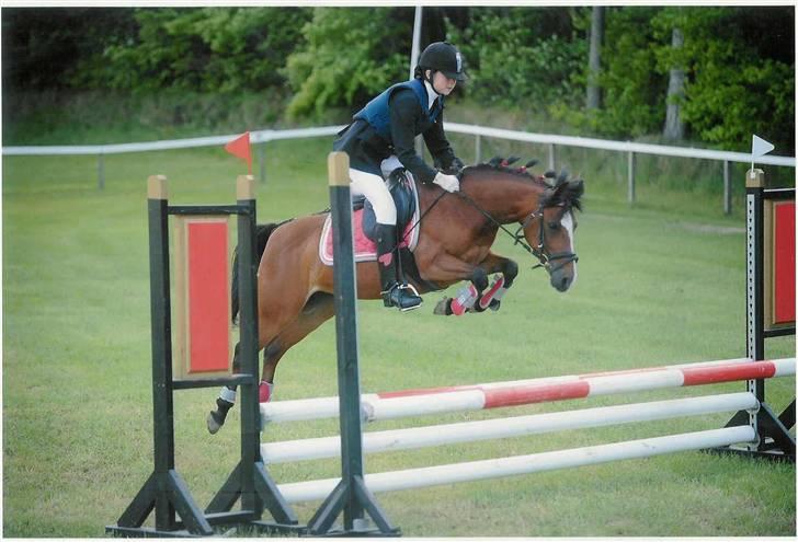 DSP *Yasmin* Solgt :`( - 19.Kamma springer LB på Yasmin til Morsø billede 19