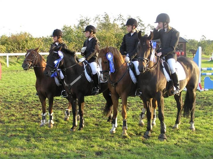 Tysk Sportspony Denver - Fyensmesterskab 07 billede 3