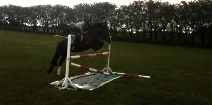 Anden særlig race » Spirit - Solgt. - Spirit og mig. billede 8