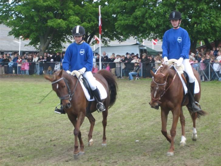 DSP Moonlight Dancer - Roskilde Dyreskue 2006 billede 2