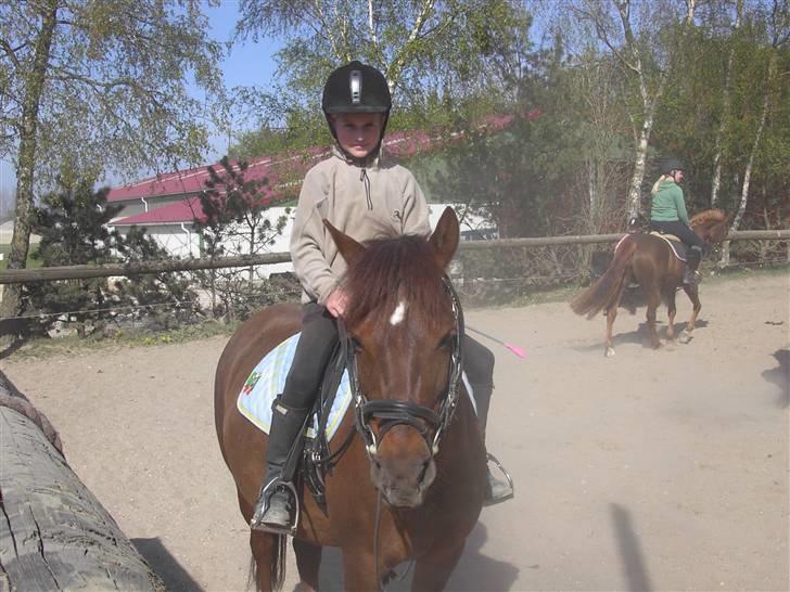 DSP Moonlight Dancer - Moonlight og Caroline billede 3