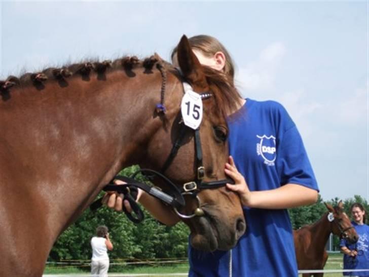 DSP Moonlight Dancer billede 4