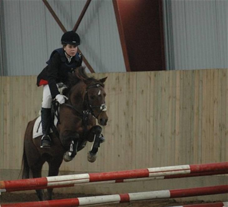 DSP Moonlight Dancer billede 5