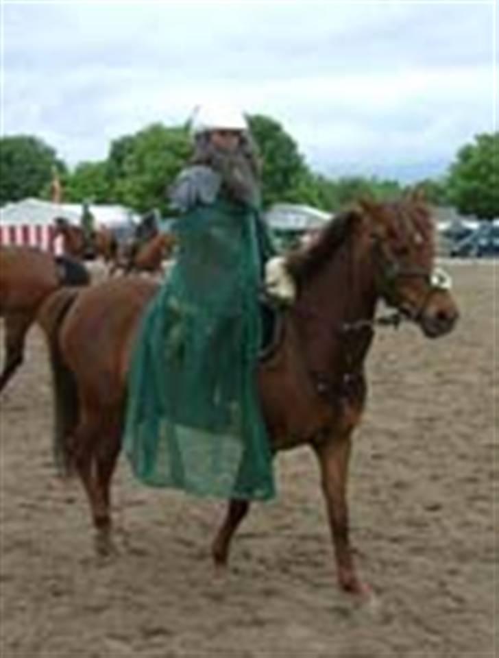 DSP Moonlight Dancer - Show Roskilde Dyreskue 2005 billede 7