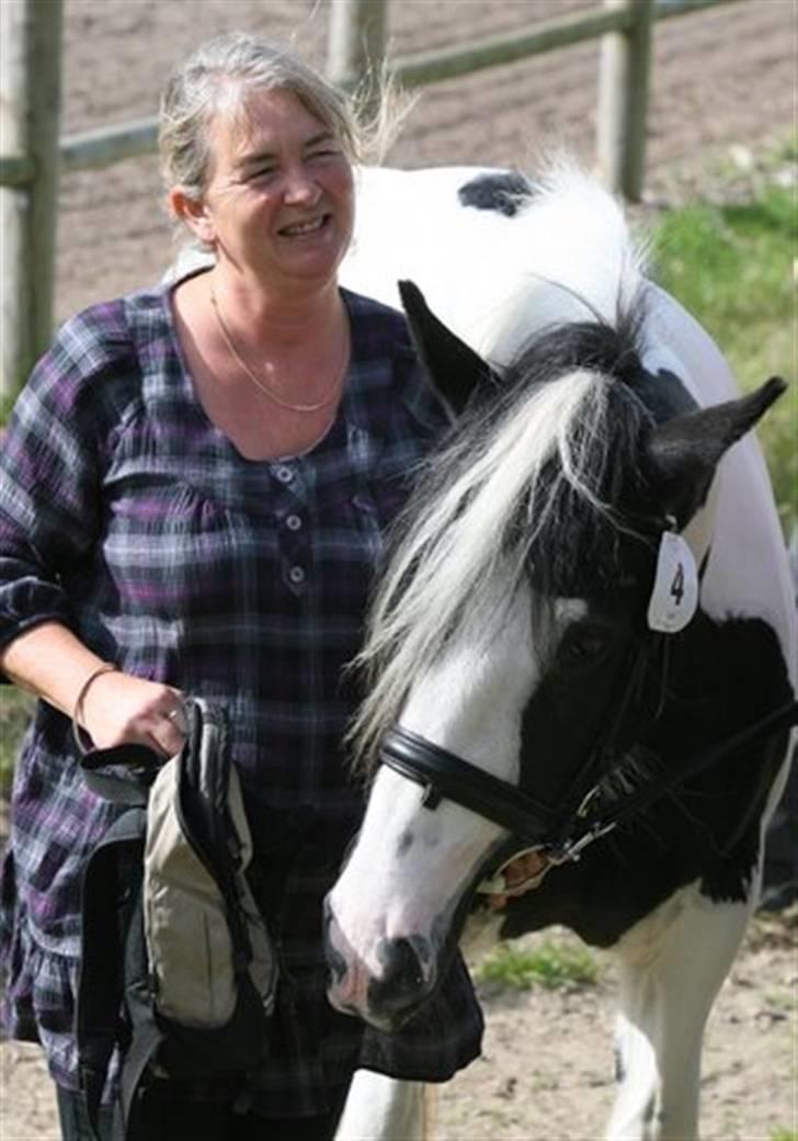 Irish Cob Beauty billede 8