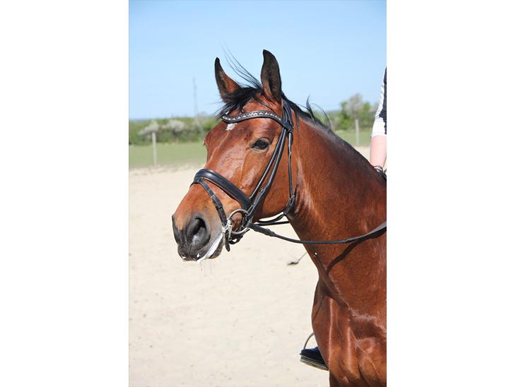 {{currentPhoto.altText}} billede {{currentPhoto.number}}