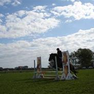 Islænder Katla frá Hala