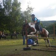 Anden særlig race Tøsen solgt