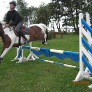 Anden særlig race Tøsen solgt