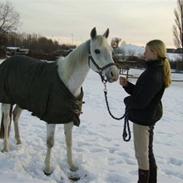 Sportsaraber (A) Vogue Hjerl *Part*