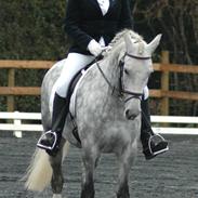 Anden særlig race Desdemona R.I.P