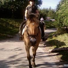 Anden særlig race Tyson <3 Miss ya' <3