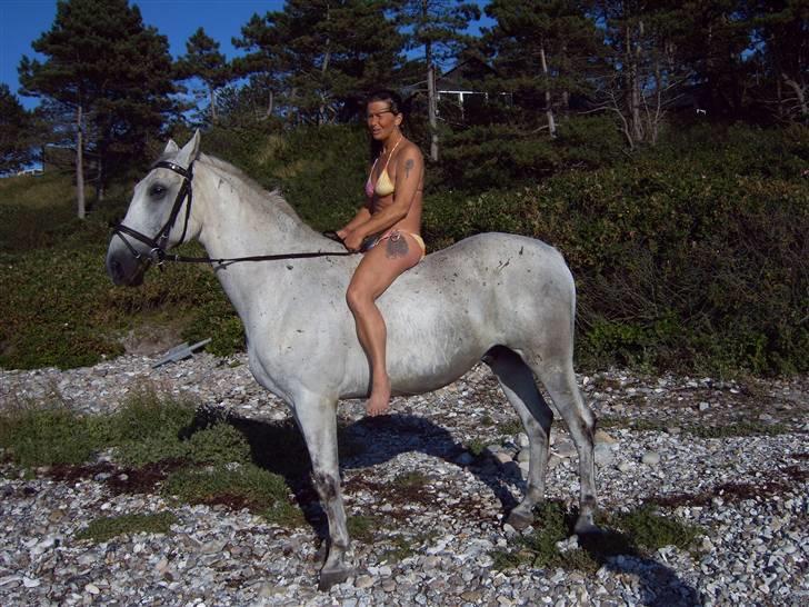 Anden særlig race *Pelle*(Pelle GRIS) billede 13