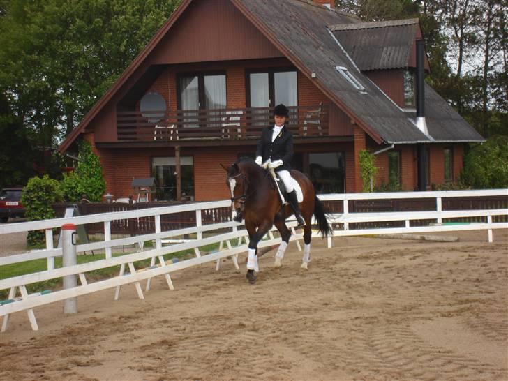 Oldenborg Usolan af Hvarre - Solgt billede 7