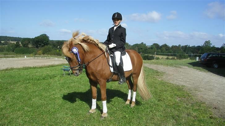 Islænder Tigull fra Rue - Jeg blev simpelthen så glad!! Havde ikke turdet håbe på det:) billede 14