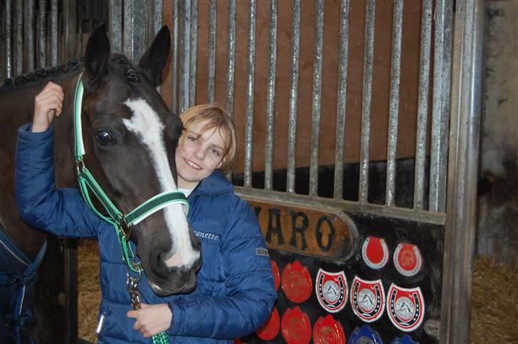 Irsk Sportspony Admiral Charo'  - Er han ikke bare dejlig..  billede 4