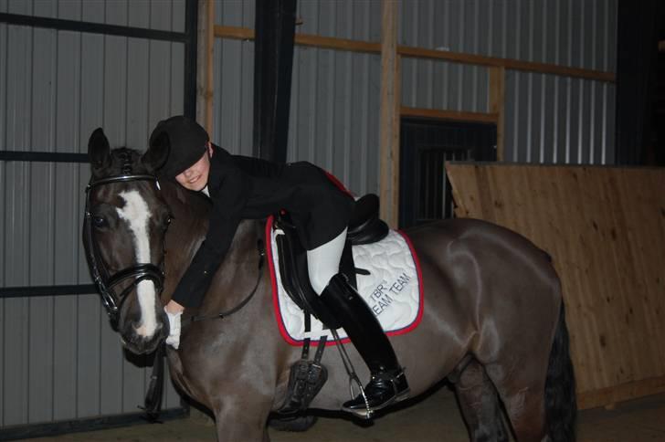 Irsk Sportspony Admiral Charo'  - Dygtig ponze.. Efter vores føreste placering i LA3 på distriktplan i Hedensted den 19. januar 2008  billede 18