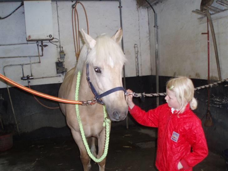 Palomino (vrk) skipper og maja<33 - Skipper og mig billede 12