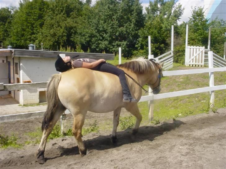 Anden særlig race Tyson <3 Miss ya' <3 - Igen uden sadel :9 billede 7