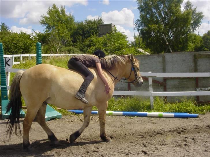 Anden særlig race Tyson <3 Miss ya' <3 - Og Igen billede 8