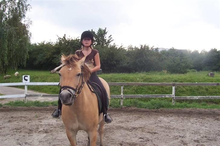 Anden særlig race Tyson <3 Miss ya' <3 - Stop venligst op tyson ! Hehe billede 12