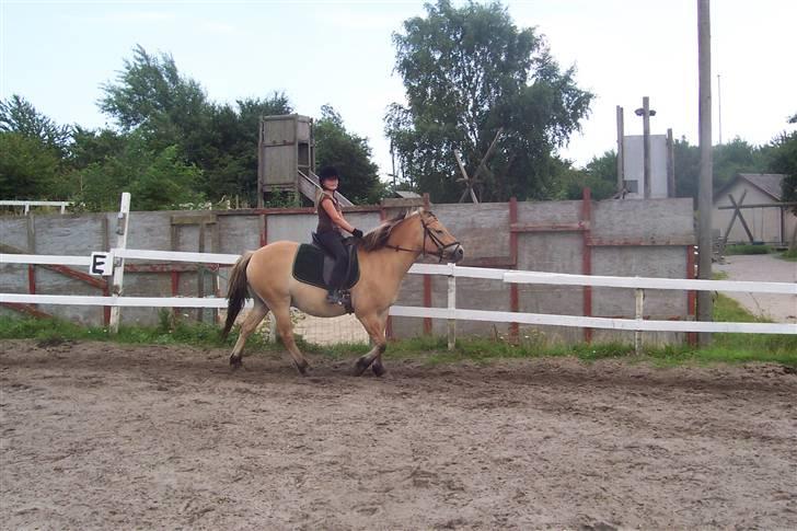 Anden særlig race Tyson <3 Miss ya' <3 - Rider billede 13