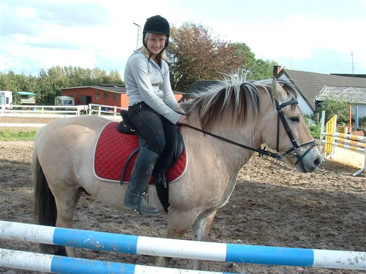Fjordhest klaus - Her springer jeg med Bolette. billede 14