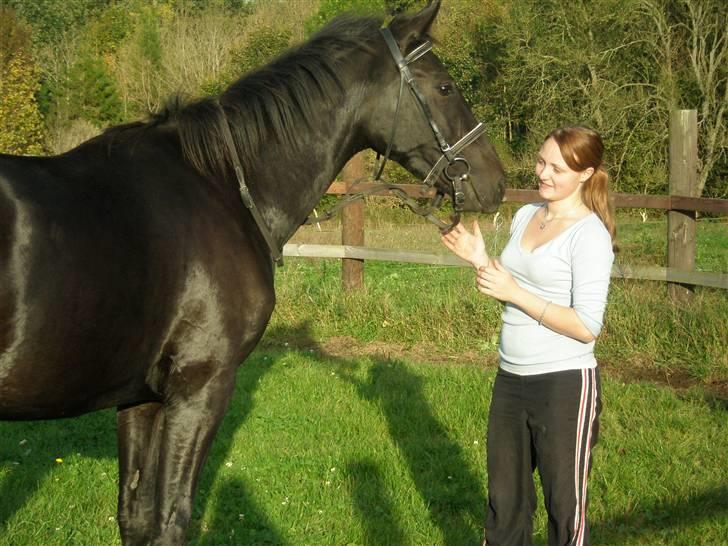 Anden særlig race Bajerbækgårdens Buick  billede 13