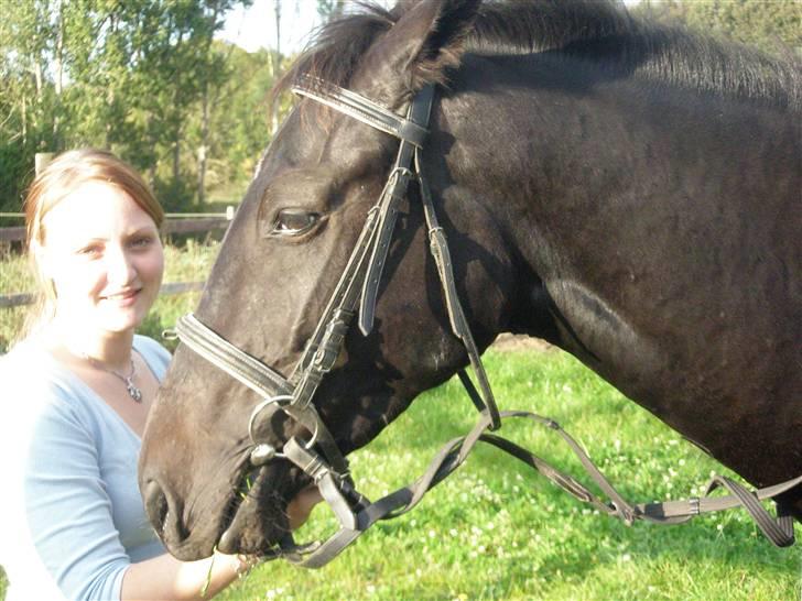 Anden særlig race Bajerbækgårdens Buick  billede 14
