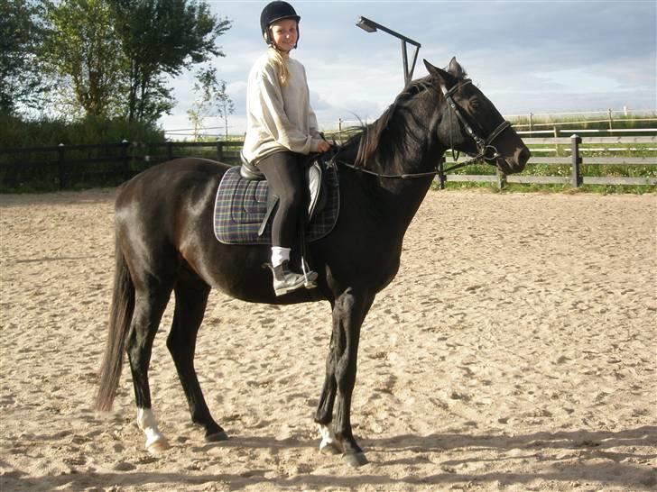 Anden særlig race Bajerbækgårdens Buick  billede 18