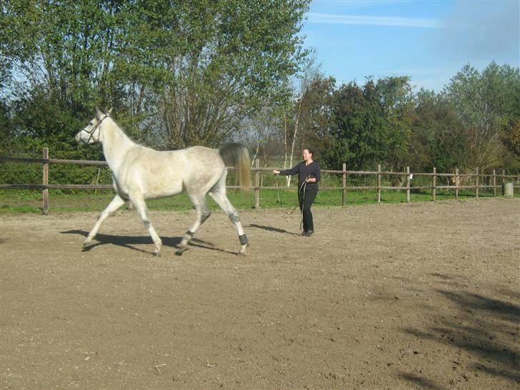 Sportsaraber (A) Monique - Uha, ude og dyrke motion ...  billede 7