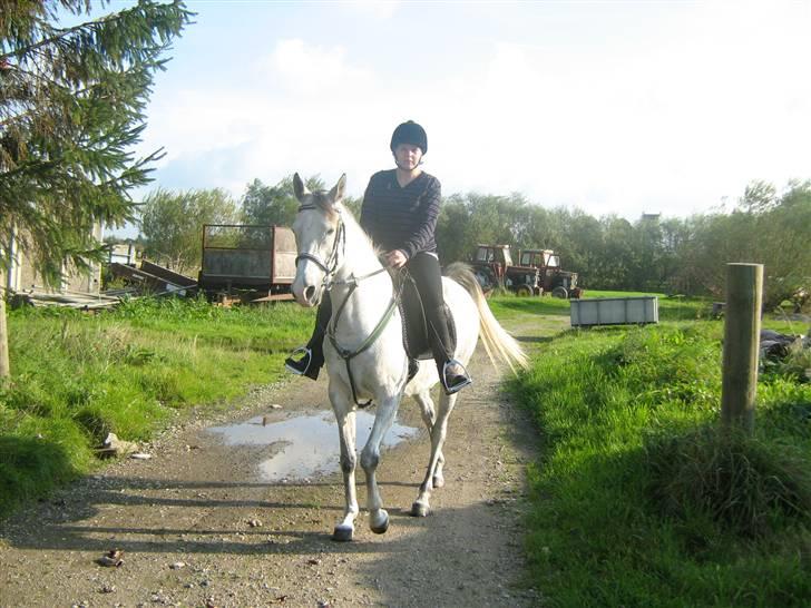 Sportsaraber (A) Monique - På vej ud i det blå ...  billede 13