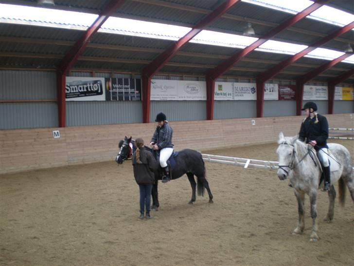 DSP Ca-pia *Død* <3 -  til præmieoverrakkelse i 60cm. billede 7