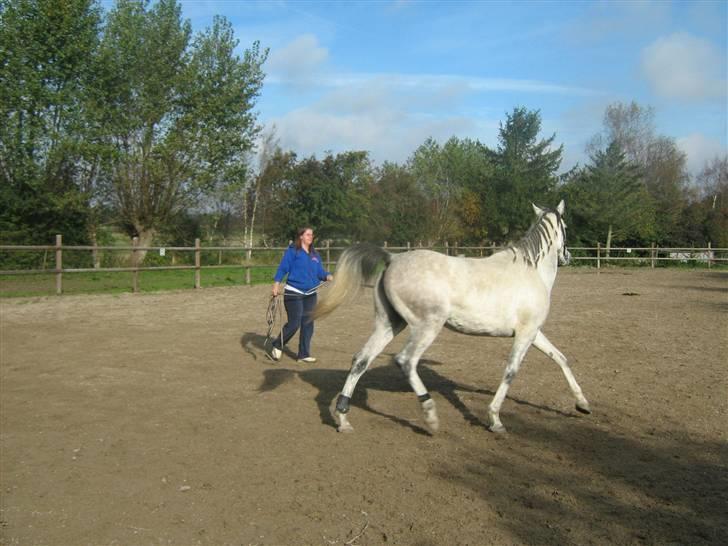 Sportsaraber (A) Monique - Der er ingen "kære mor" når det er stine der står i den anden ende ...  billede 16