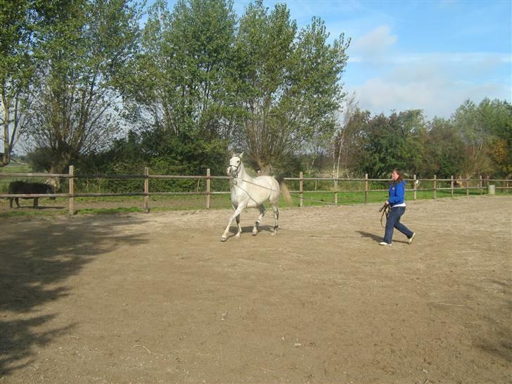 Sportsaraber (A) Monique - Stine er tydeligvis ikke lige så eftergivende som mor ... ! hehe  billede 17