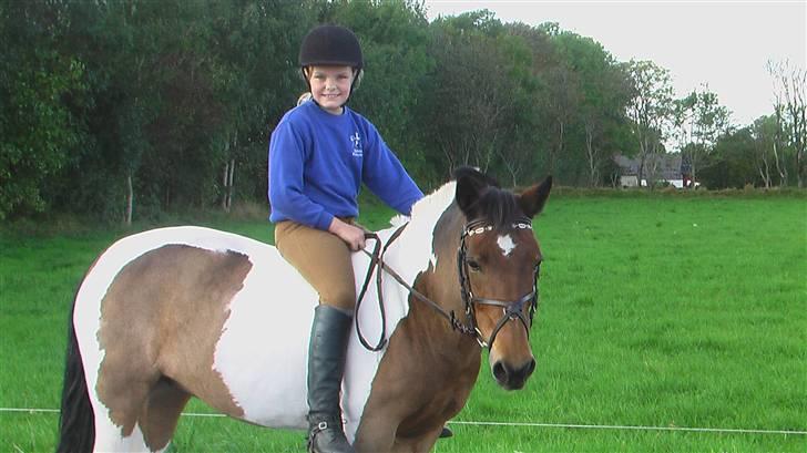 Pinto Joy amira o'shar  billede 7