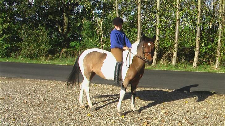 Pinto Joy amira o'shar  billede 8