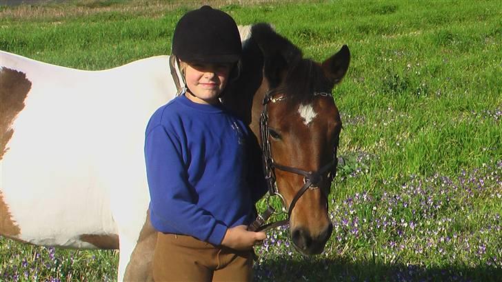 Pinto Joy amira o'shar  billede 11