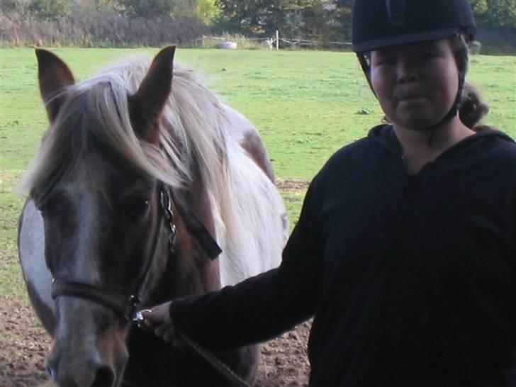 Pinto Mr Jamie (rider ik mere) - heh bassse du var så tyk der <3  billede 5