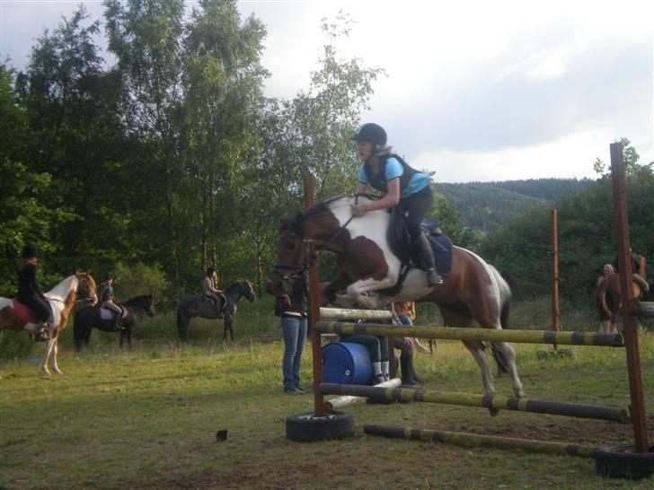 Anden særlig race Tøsen solgt - højdesring 105 sprang 115 hun springer rigtig godt på østerlund 07 super år billede 4