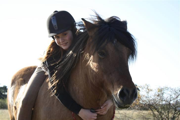 Islænder PRINS af ELLINGE MARK - "you are my hero" Foto: Lykke <3 billede 17