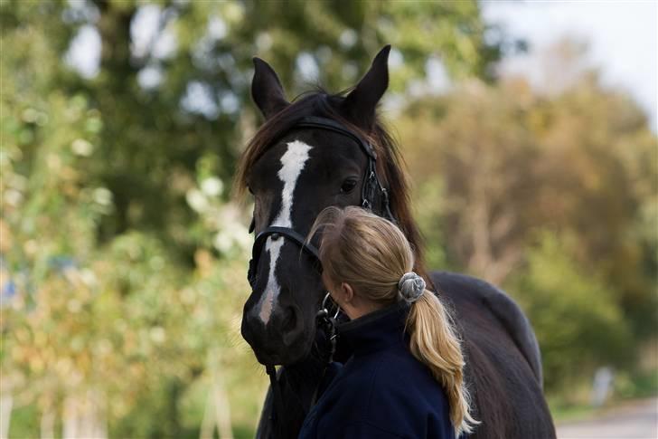 Oldenborg Tatan ( R.I.P.) - Jeg elsker den hest billede 7