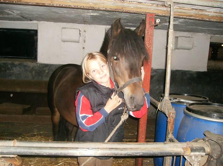 Anden særlig race lady, *solgt* - søde lady sammen med monica billede 16