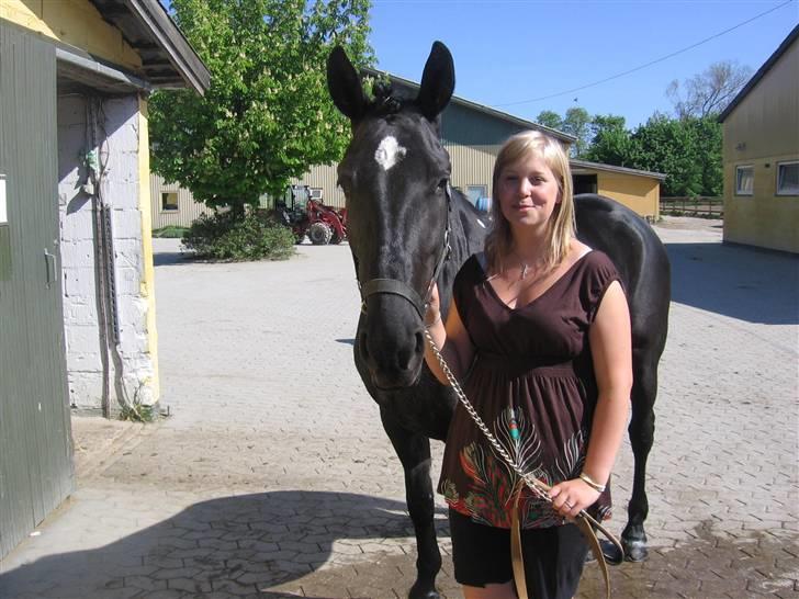 Anden særlig race Nonius-95Malvin *Solgt* - Mig og Nonius dagen før hun skulle væk billede 5
